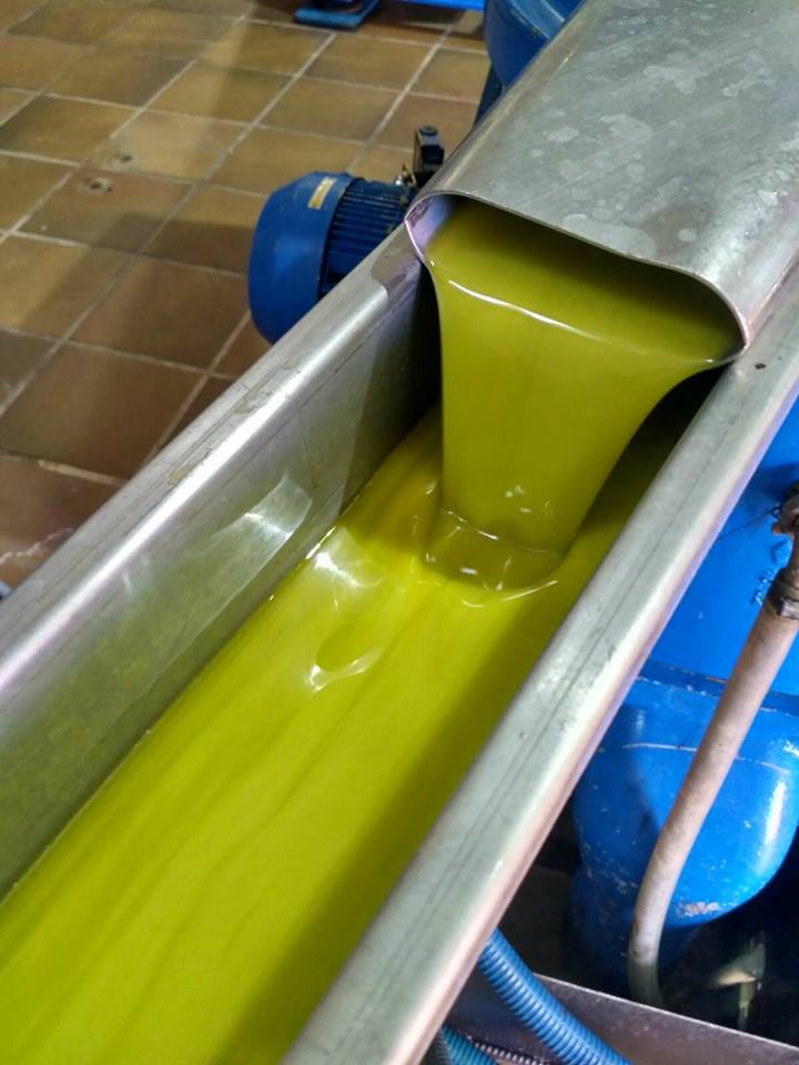densité de l'huile d'olive